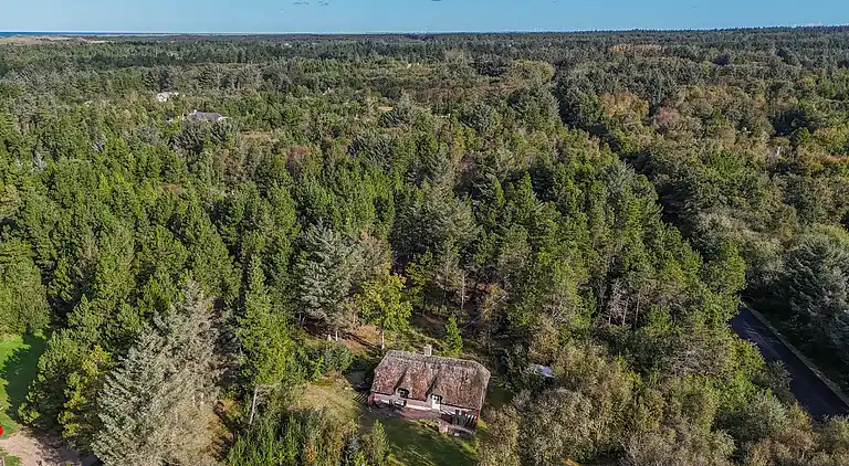 Feriebolig i Ulfborg