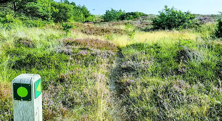 Vakantiehuis in Grenaa