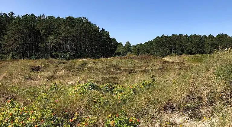 Vakantiehuis in Grenaa