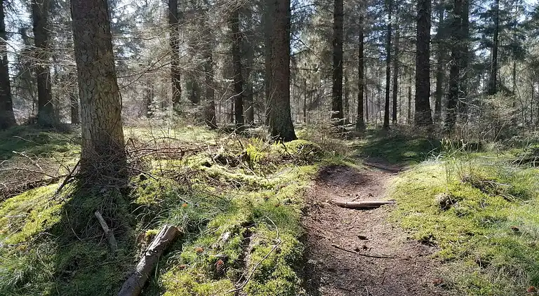 Vakantiehuis in Grenaa