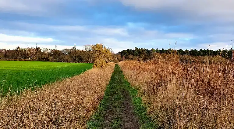 Vakantiehuis in Grenaa