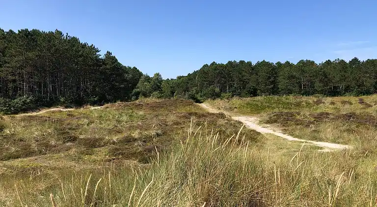 Vakantiehuis in Grenaa