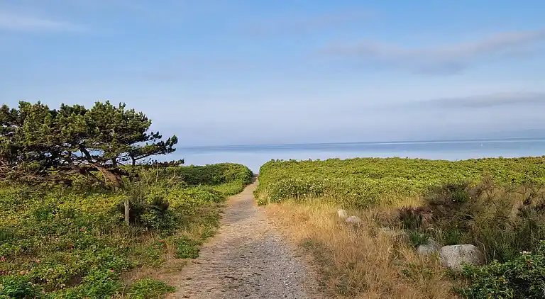 Holiday home in Vibæk Strand