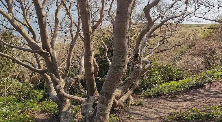 Holiday home in Vibæk Strand
