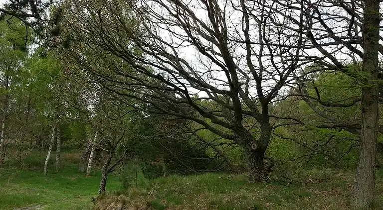 Holiday home in Fugleslev