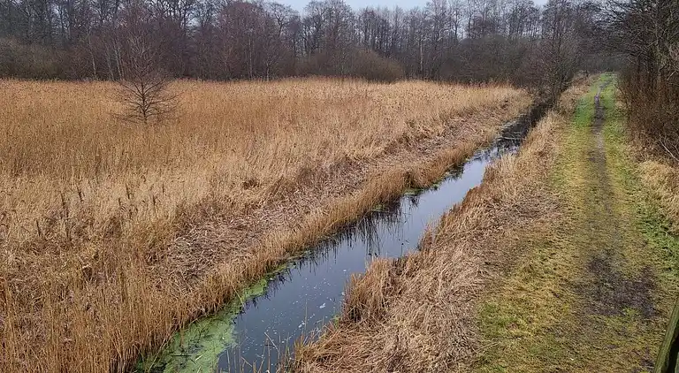 Holiday home in Fugleslev