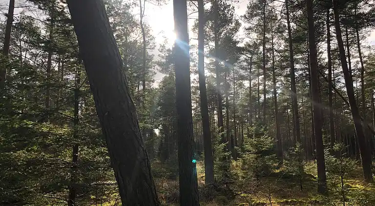 Holiday home in Fugleslev