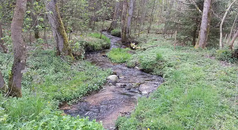 Holiday home in Fugleslev