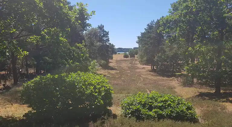 Holiday home in Fugleslev