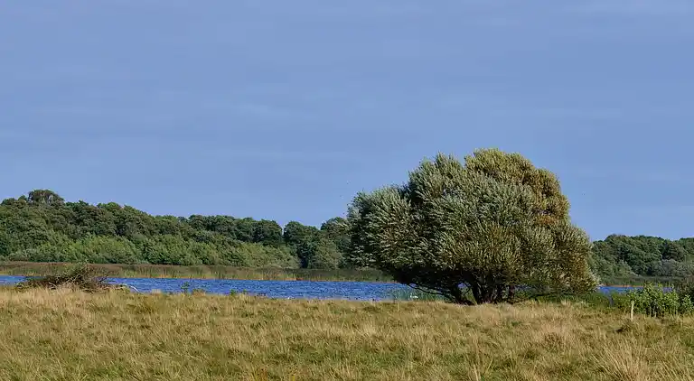 Holiday home in Fugleslev