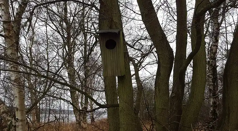 Holiday home in Fugleslev