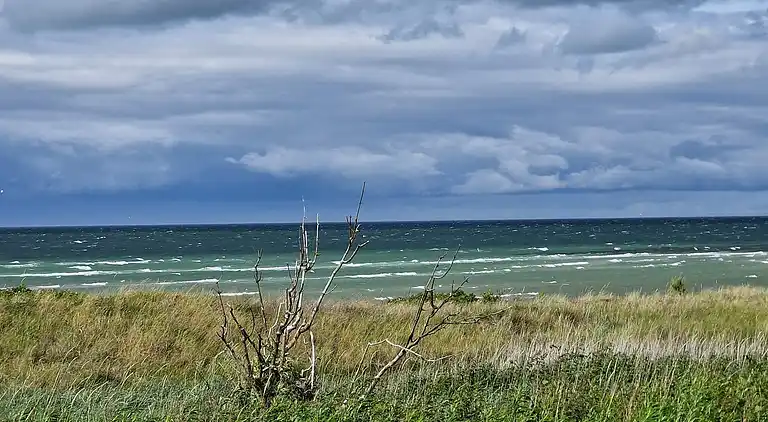 Sommerhus ved Fjellerup Strand