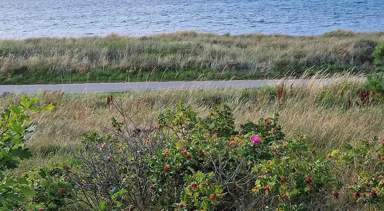 Sommerhus ved Fjellerup Strand