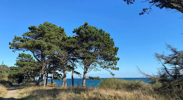 Holiday home in Knebel