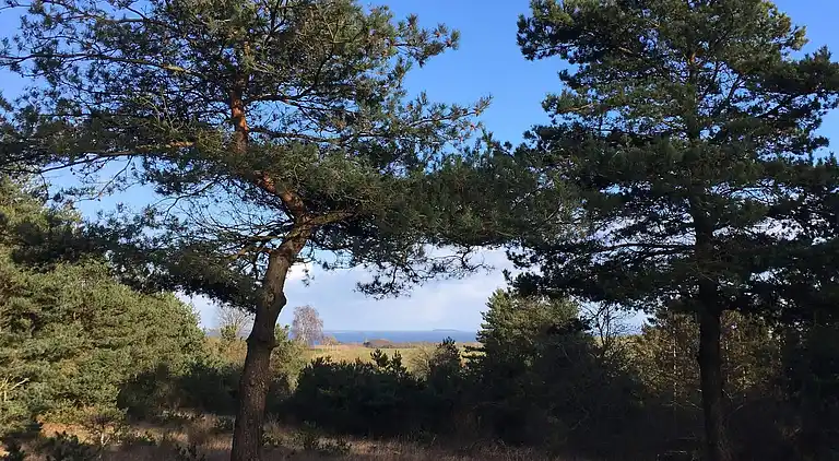 Holiday home in Knebel