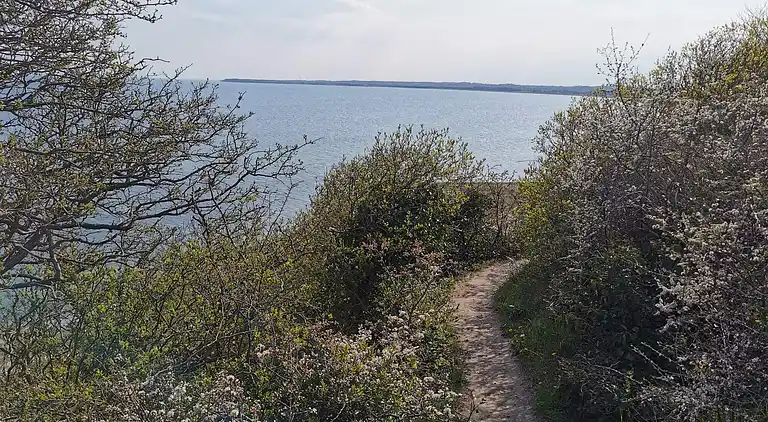Sommerhus i Ebeltoft