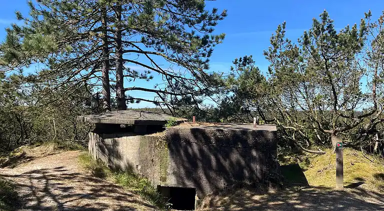 Holiday home in Jegum