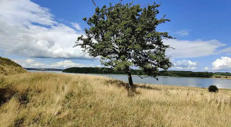Ferienhaus in Kolind