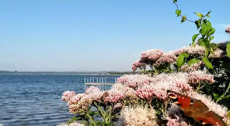 Ferienhaus in Kolind