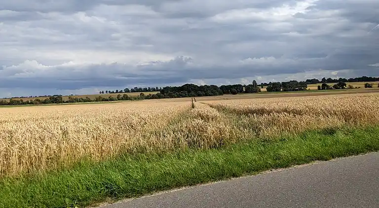 Sommerhus ved Saksild Strand