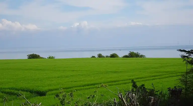 Sommerhus ved Saksild Strand