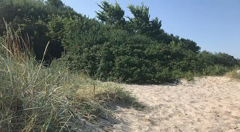 Sommerhus ved Saksild Strand