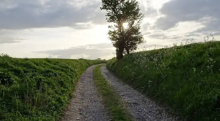 Sommerhus ved Saksild Strand