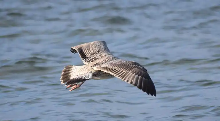 Holiday home in Knebel