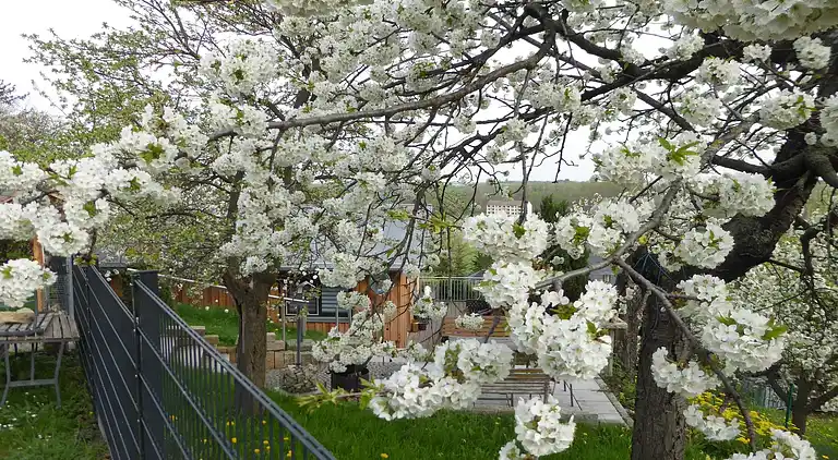 Holiday home in Neinstedt