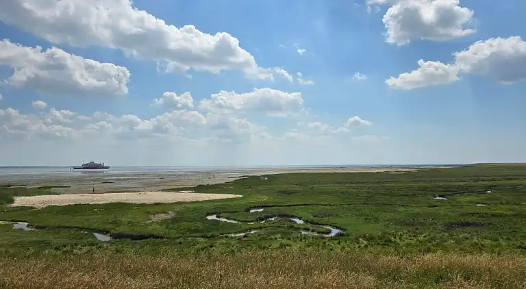 Vakantiehuis in Havneby