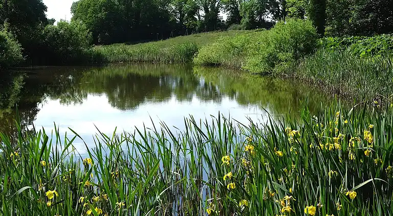 Sommerhus i Højslev