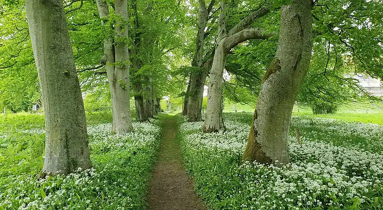 Sommerhus i Højslev