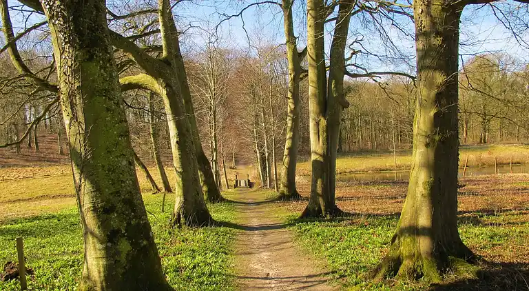 Sommerhus i Højslev