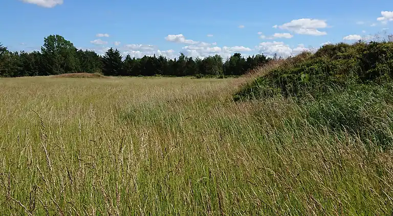 Sommerhus i Højslev