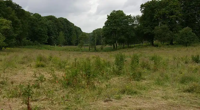 Sommerhus i Højslev