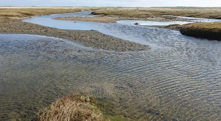 Holiday home in Kongsmark