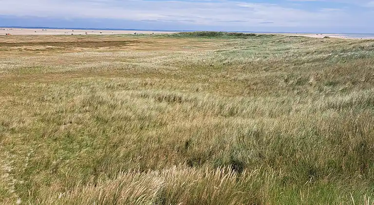 Holiday home in Kongsmark