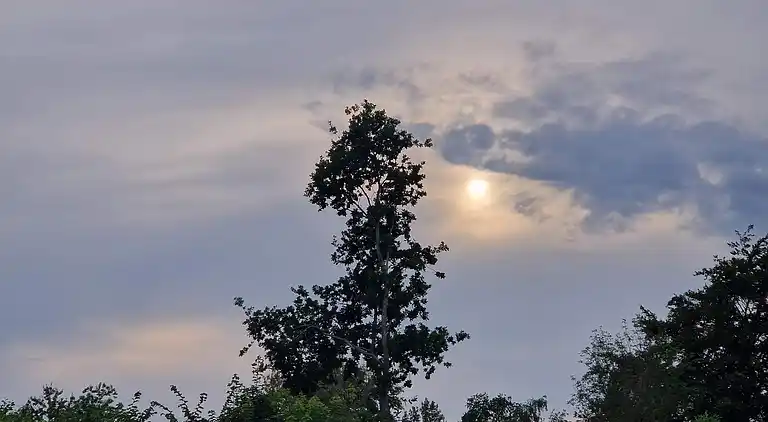 Holiday home in Fjellerup Strand