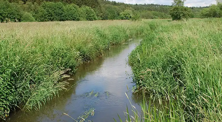 Holiday home in Gjern