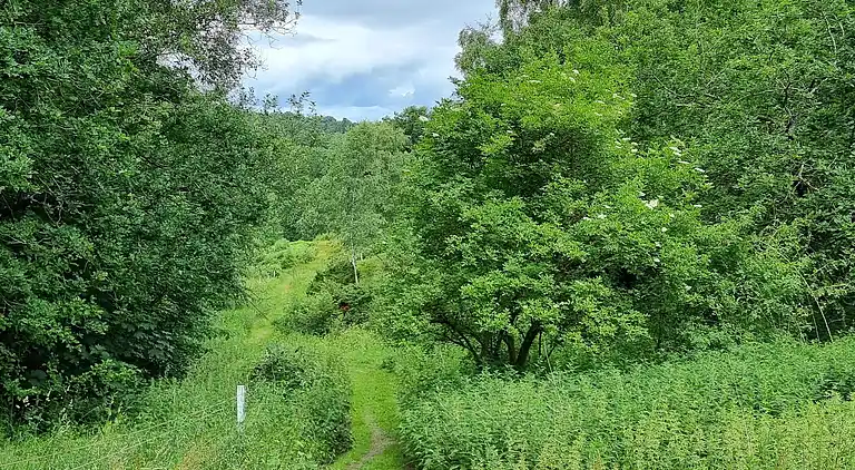 Holiday home in Gjern