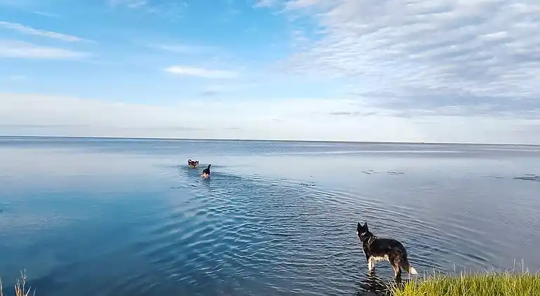 Feriebolig i Ørsted