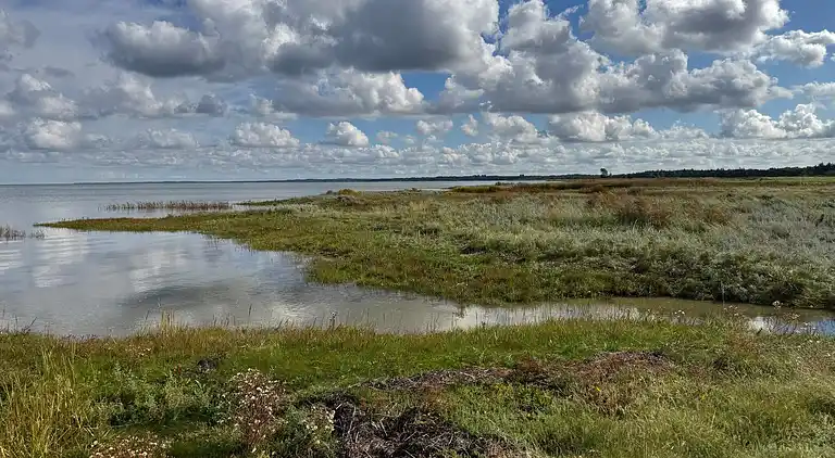 Feriebolig i Ørsted