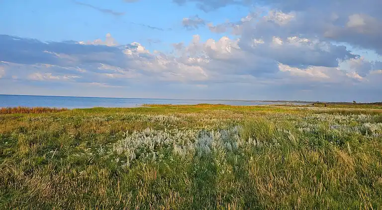 Feriebolig i Ørsted