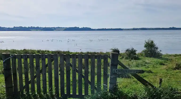 Maison de vacances dans les Skals