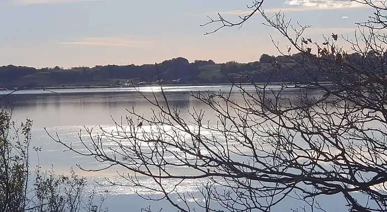 Maison de vacances dans les Skals