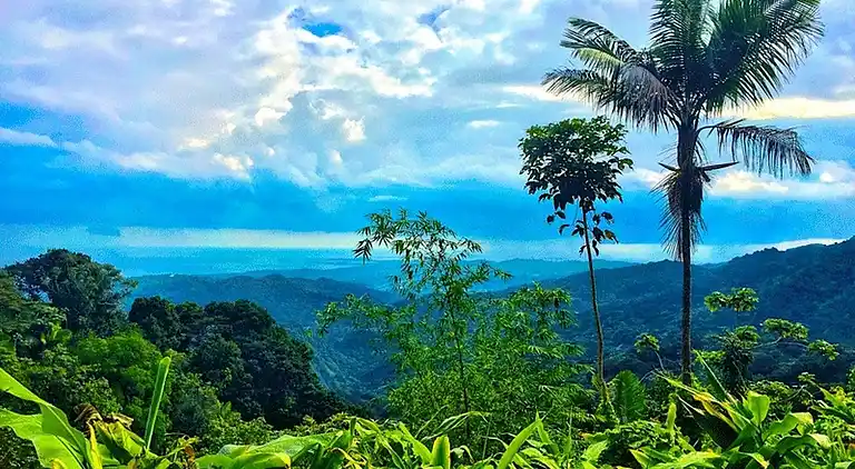 Gemütliches Zuhause in San Juan, Puerto Rico - Perfekt für