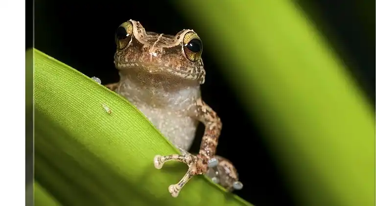 Gemütliches Zuhause in San Juan, Puerto Rico - Perfekt für