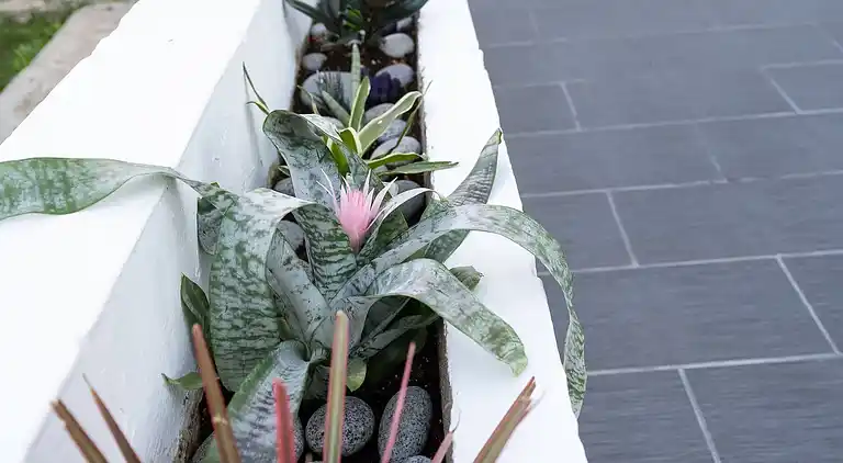 Gemütliches Zuhause in San Juan, Puerto Rico - Perfekt für