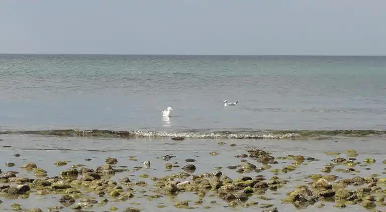 Holiday home in Melby