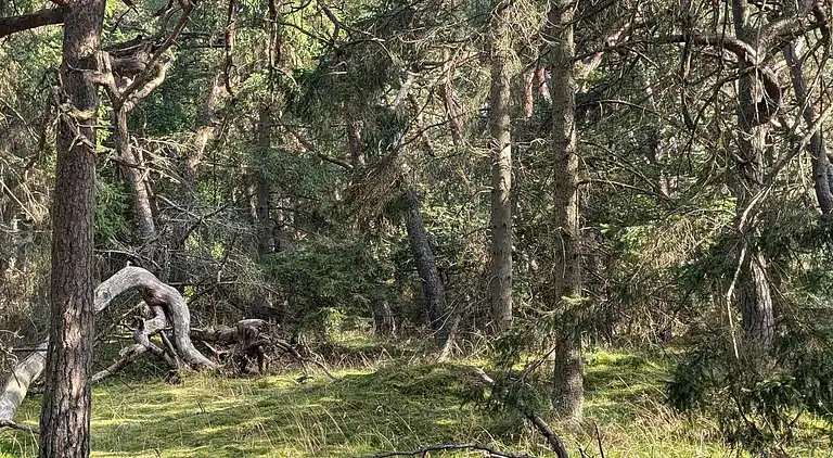 Holiday home in Melby